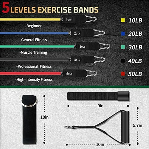 Resistance bands with weight levels and sizes.